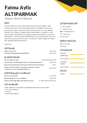 Matematik Öğretmeni Cv Örnekleri cv indir